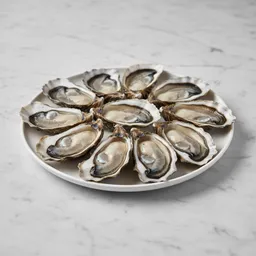 Oysters