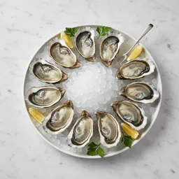 Oysters (raw)