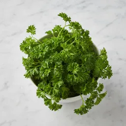 Fresh Parsley