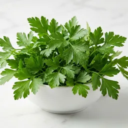 Parsley (fresh)