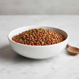 Plant-based Protein Alternative