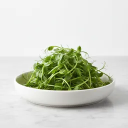Pea Sprouts