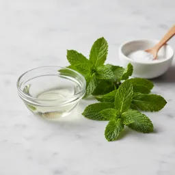 Pure Unsweetened Peppermint Extract