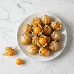 Physalis