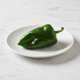 Poblano Pepper