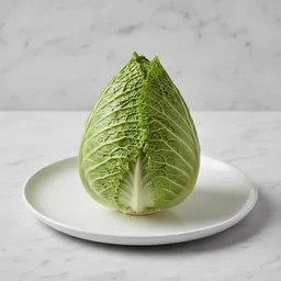 Pointed Cabbage