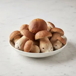 Porcini Mushrooms