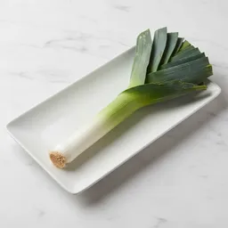 Leek