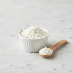 Powdered Quark Cheese