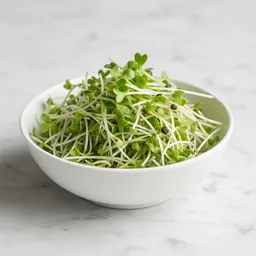 Radish Sprouts