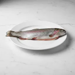 Rainbow Trout (raw)