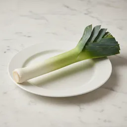 Leek