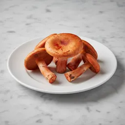 Saffron Milk Cap Mushroom