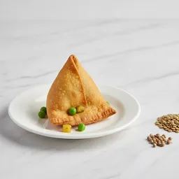 Vegetable Samosa