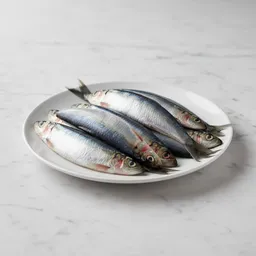 Sardines (raw)