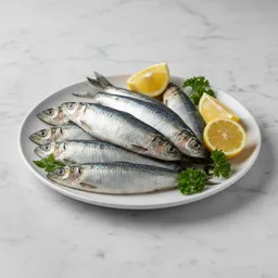 Sardines