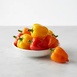 Scotch Bonnet Pepper