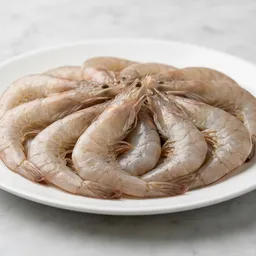 Shrimp