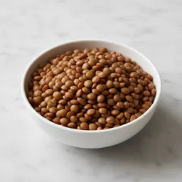 Plant-based Protein Alternative