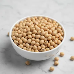 Soy