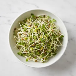 Sprout Mix