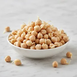Sprouted Chickpeas