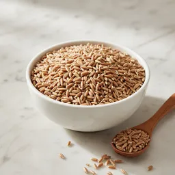 Sprouted Spelt
