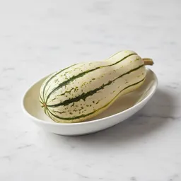 Delicata Squash