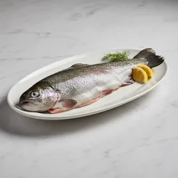 Freshwater Fish (e.g., Trout)