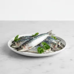 Sardines