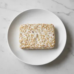 Tempeh