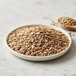 Lightly Toasted Sunflower Seeds