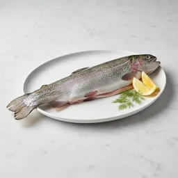 Trout (raw)