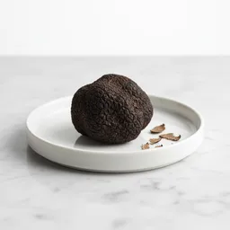 Truffle