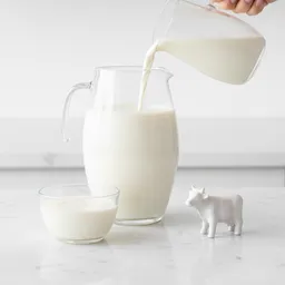 Ultrafiltered Milk (high Protein, Low Carb, Low Fat)