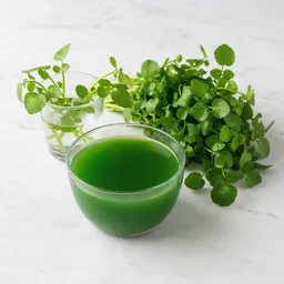 Watercress Juice