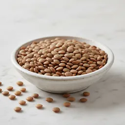 Whole Brown Lentils
