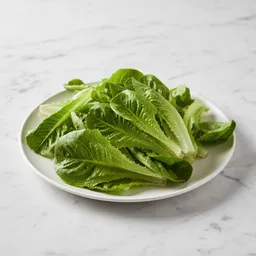 Fresh Raw Lettuce Leaves