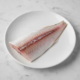 Yellowtail Fish