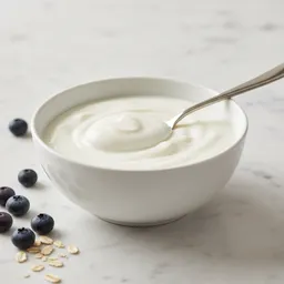 Reduced Fat Yogurt