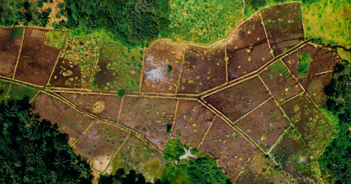 How to Calculate the Area of Different Shapes of Land