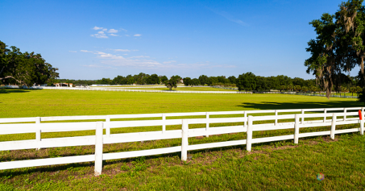 Build Fences