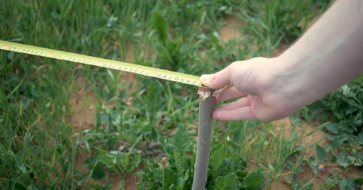 Agricultural Land Measurement Units