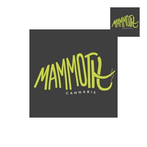 FRIDAY

No deals today
(Updated 2025-04-11)