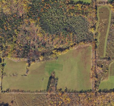 Modelers of Binghamton Inc #460 - Stein Rd