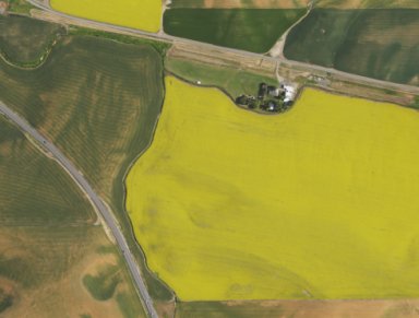 Palouse Region RC Flyers #238 - Leroy Johnson/Chambers RC Field