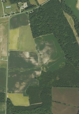 East Carolina RC flyers #479 -  County Line Rd