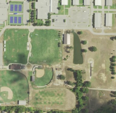 LETU FRIA Application - Back Field Only