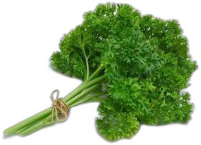 image du produit de saison