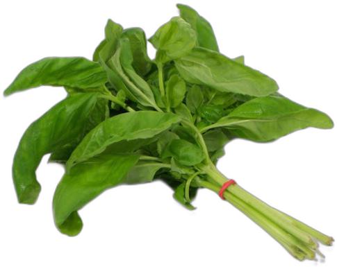 image du produit de saison
